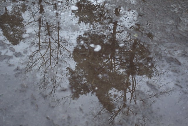 a glorious puddle