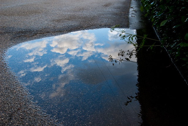 a splashable hoppable puddle